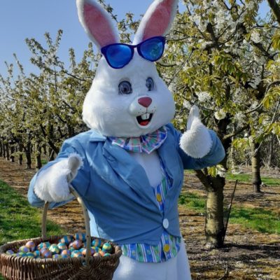 BROGDALE_Easter Bunny thumbs up