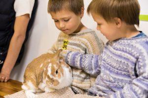 Children with rabbit at Kent Life