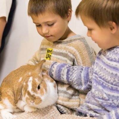 Children with rabbit at Kent Life