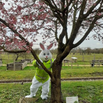 BROGDALE_Easter Rabbit Tree