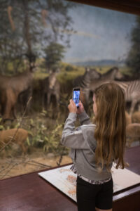 Girl with long straight brown hair is facing the diorama screen, holding her phone up so she can take a photo.