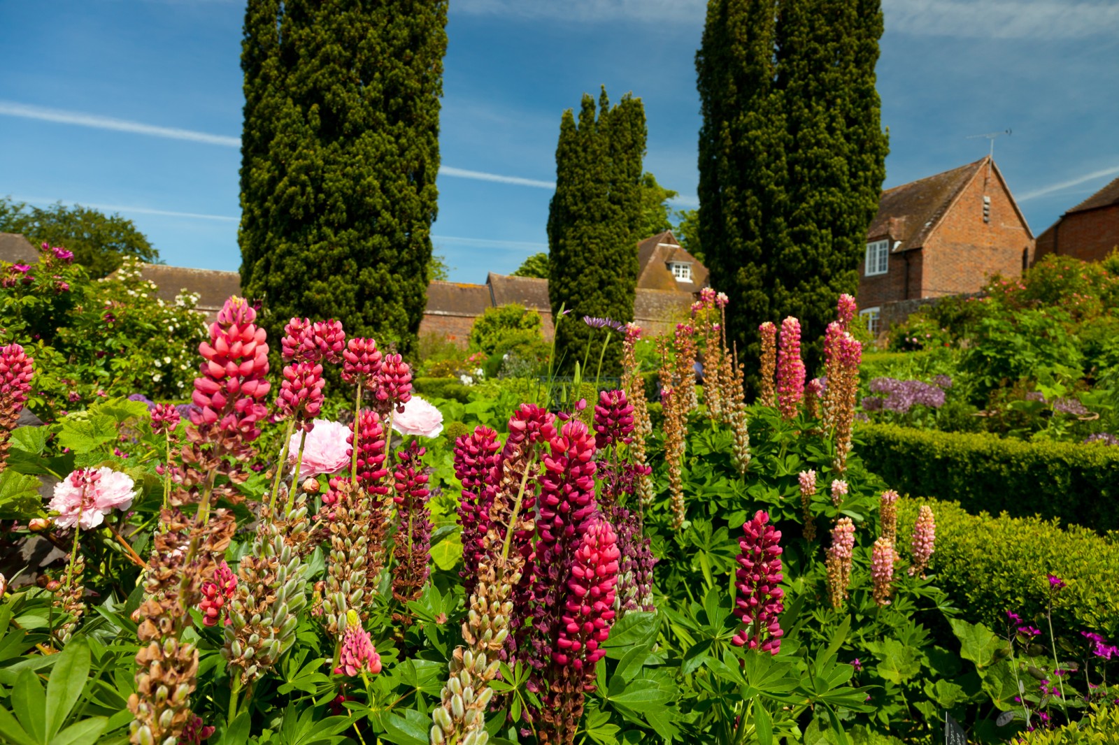 Chelsea Fringe at Leeds Castle - Inside Out - Kent Attractions