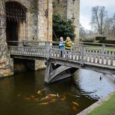 Nature Week at Hever Castle