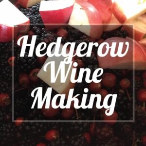 Hedgerow Wine Making