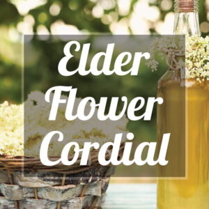 Elderflower Cordial Making