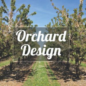 Orchard Design Course